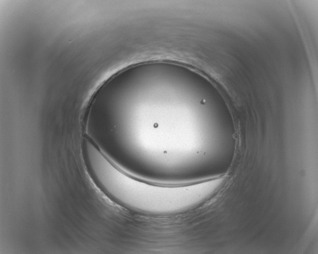 X0000061111500200512022111