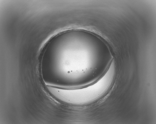 X0000061111502200512022111