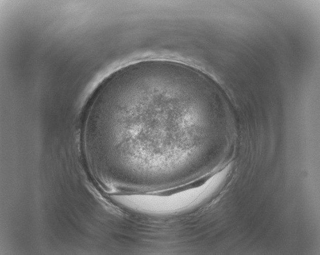 X0000061111503200512022111