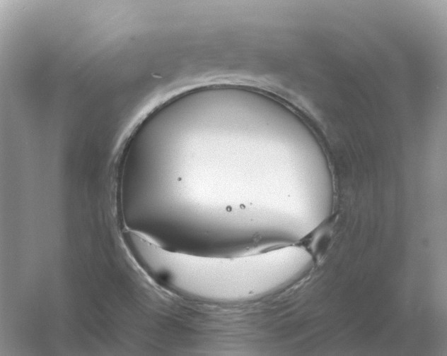 X0000061111504200512022111