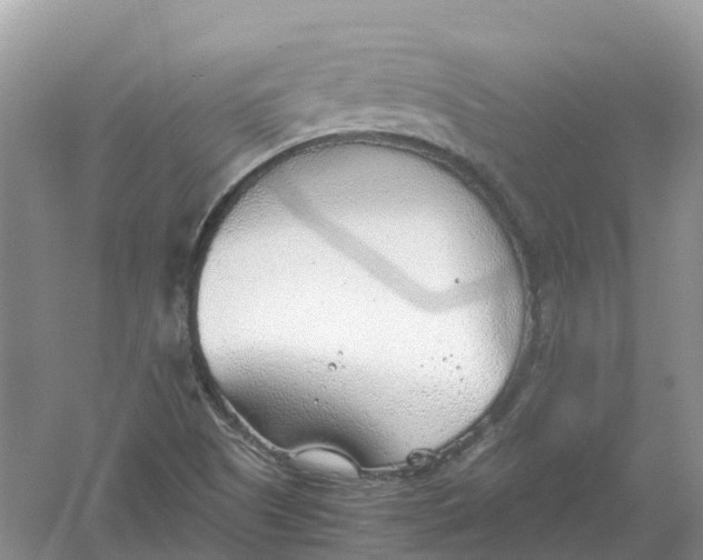 X0000061111505200512022111