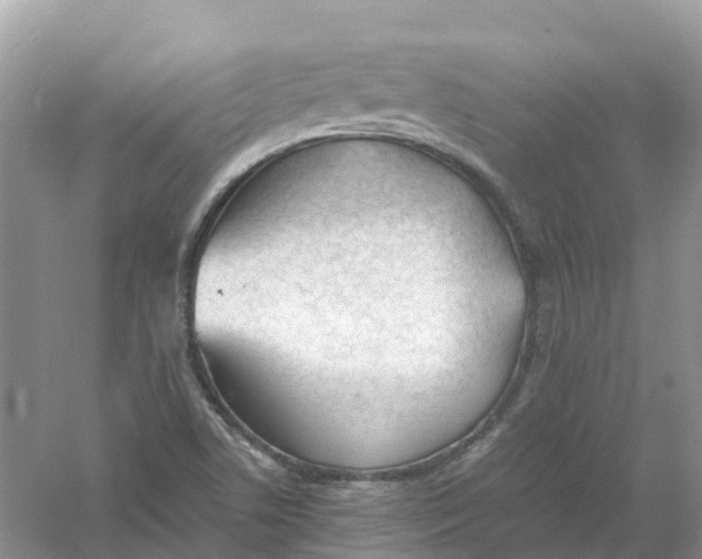 X0000061111506200512022111