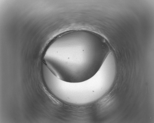 X0000061111507200512022111