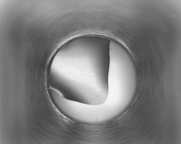 X0000061111508200512022111