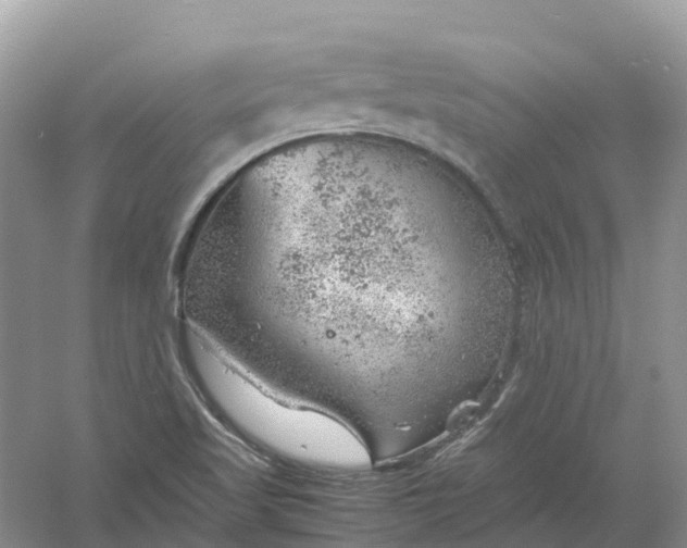 X0000061111509200512022111