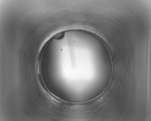 X0000061111510200512022111