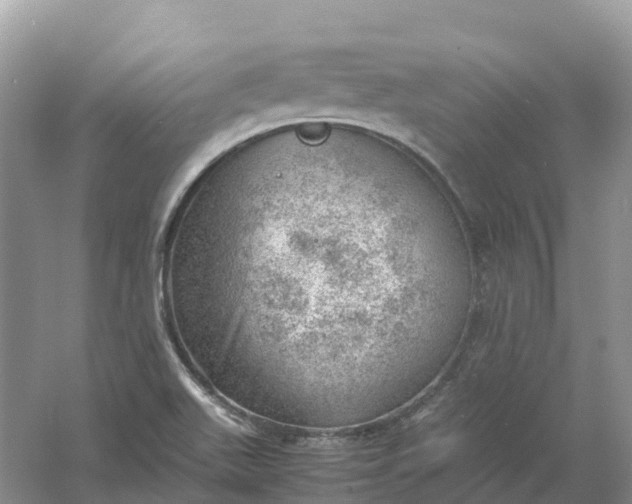 X0000061111511200512022112