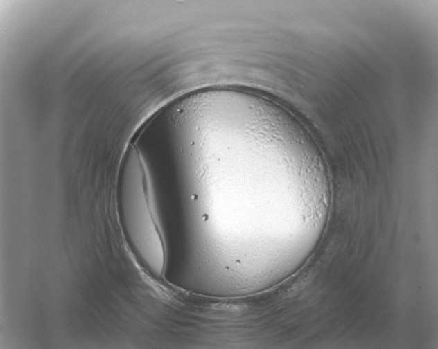 X0000061111513200512022112