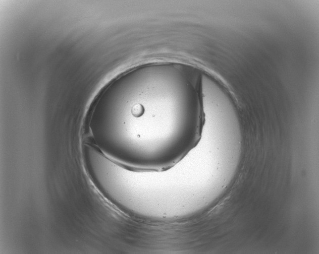 X0000061111514200512022112