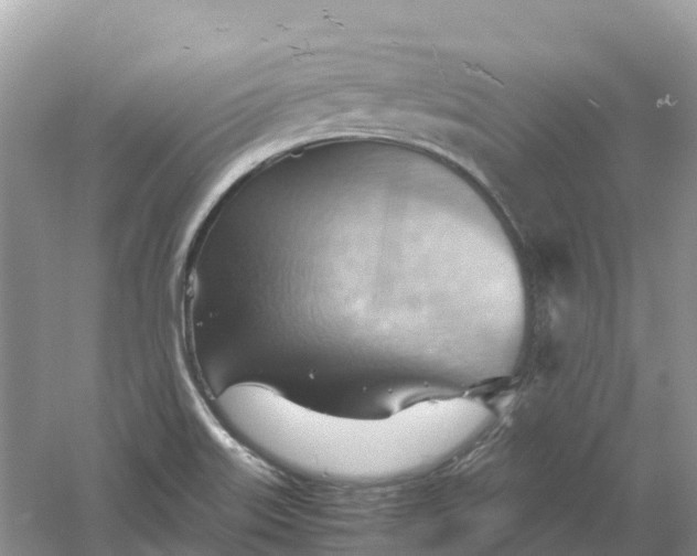 X0000061111515200512022112