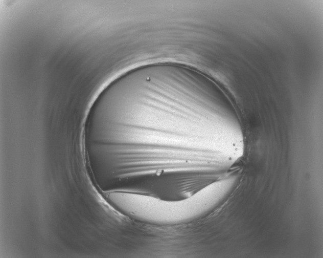 X0000061111516200512022112