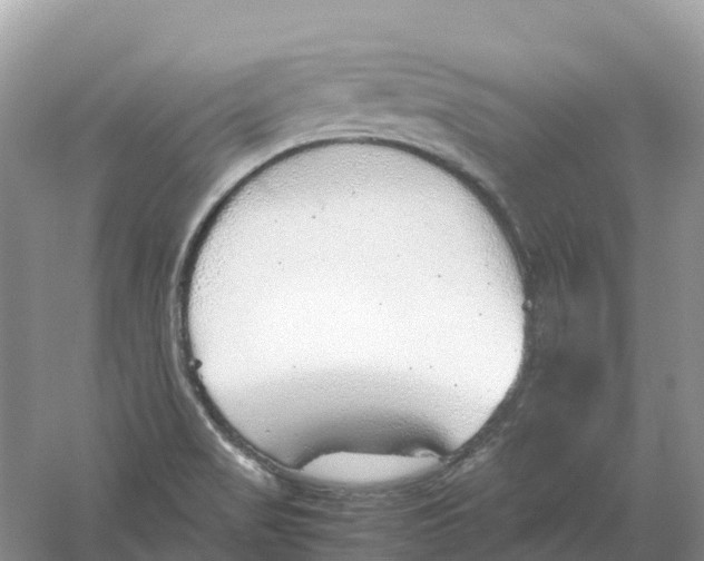 X0000061111517200512022112