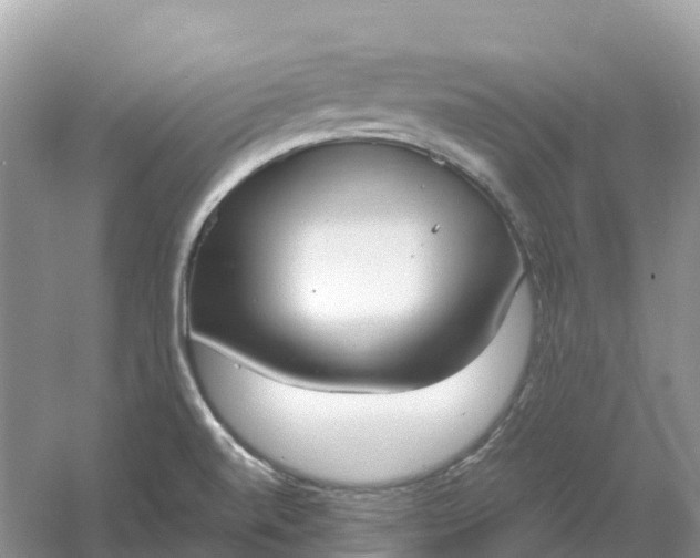 X0000061111520200512022112