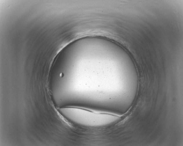 X0000061111521200512022112