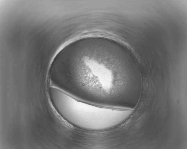 X0000061111522200512022112