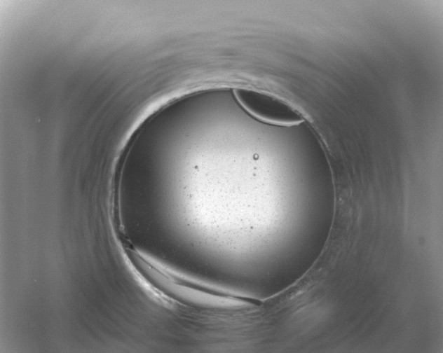 X0000061111523200512022112