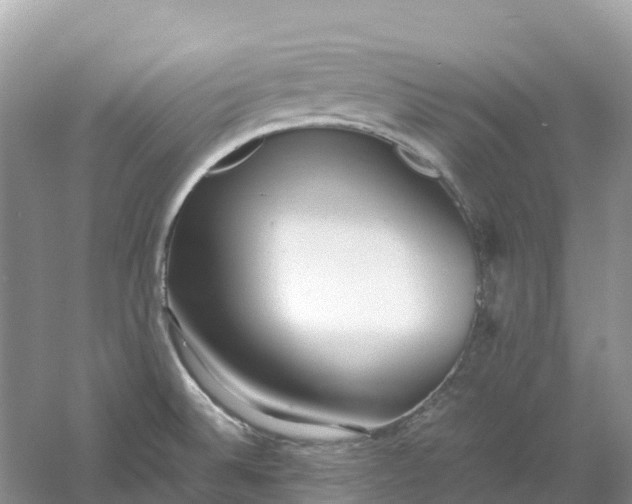 X0000061111524200512022112