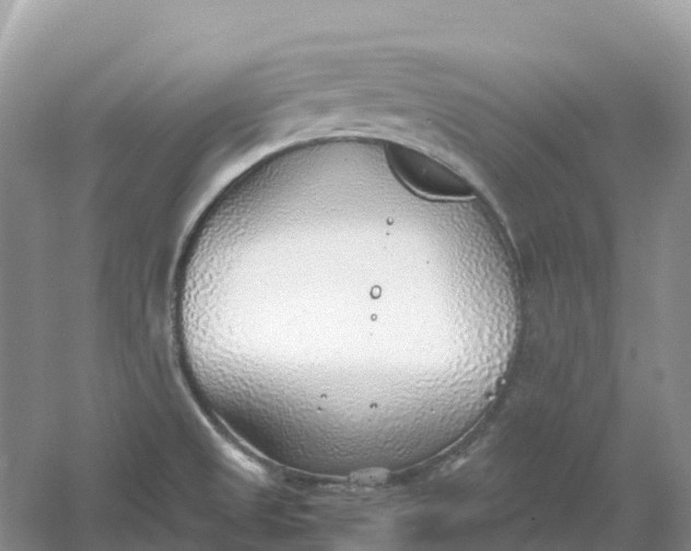 X0000061111525200512022112