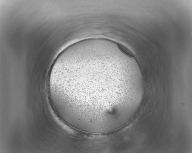 X0000061111526200512022112