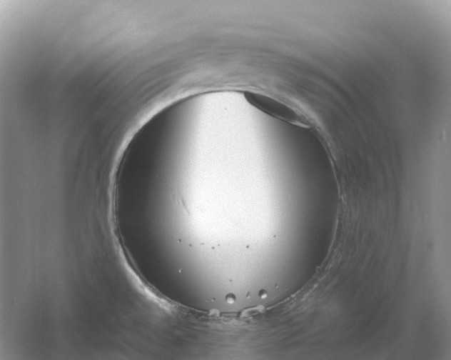 X0000061111528200512022112