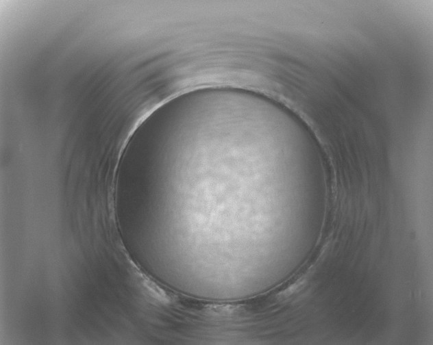 X0000061111529200512022112