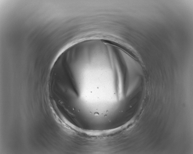 X0000061111530200512022112