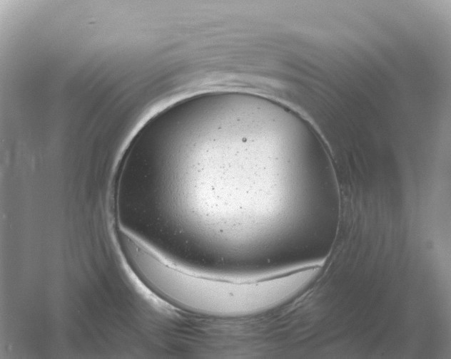 X0000061111531200512022112