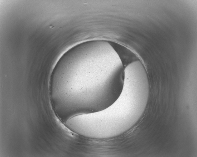 X0000061111532200512022112