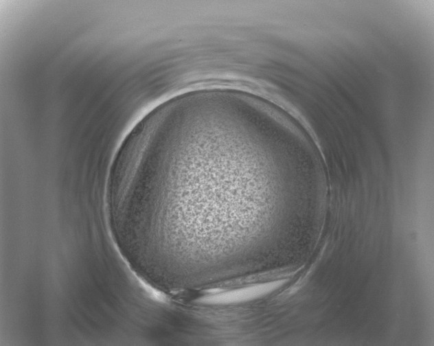 X0000061111533200512022112