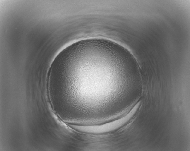 X0000061111534200512022112