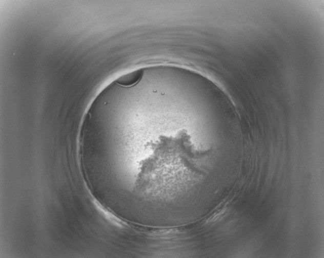 X0000061111535200512022112