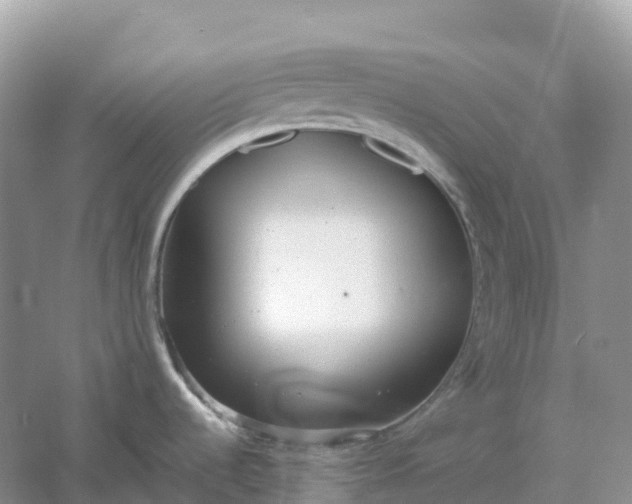 X0000061111536200512022112