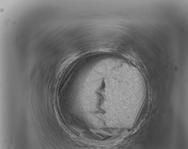 X0000061110001200512091829