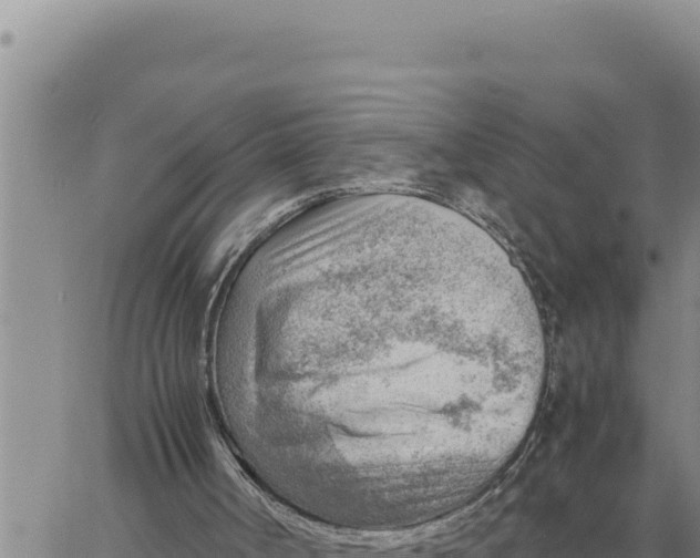 X0000061110002200512091829