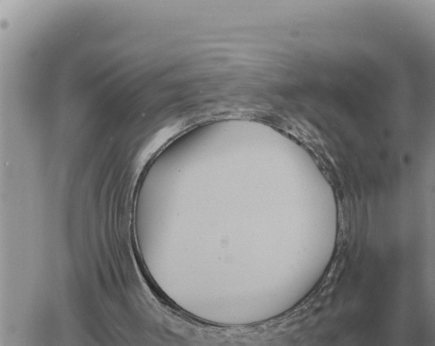 X0000061110003200512091829