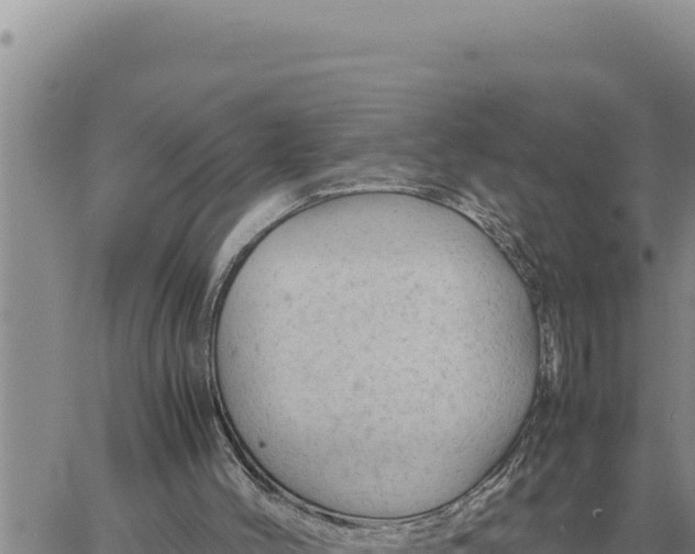 X0000061110004200512091829