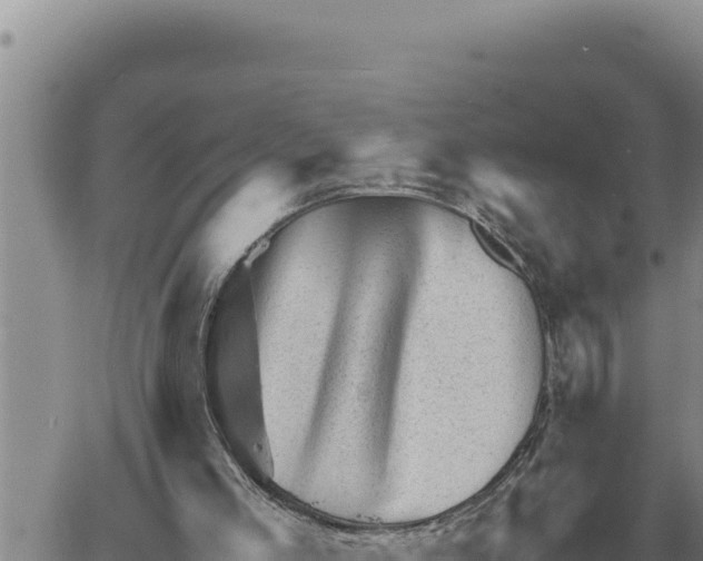 X0000061110005200512091829