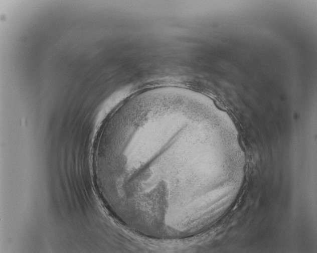 X0000061110006200512091829