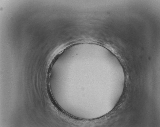 X0000061110007200512091829