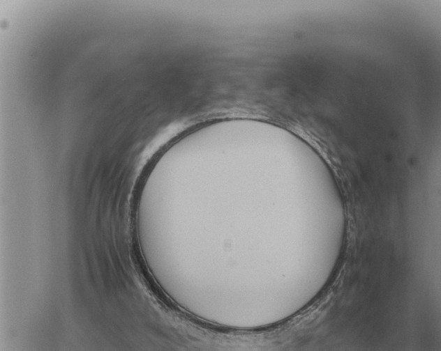 X0000061110008200512091829