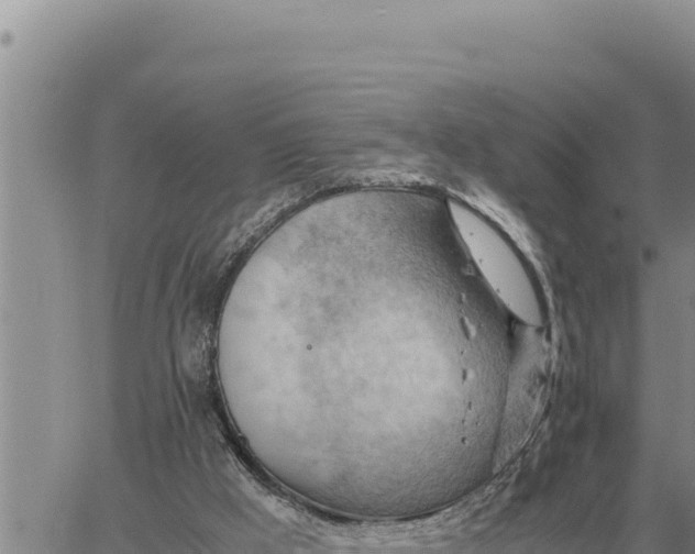 X0000061110009200512091829