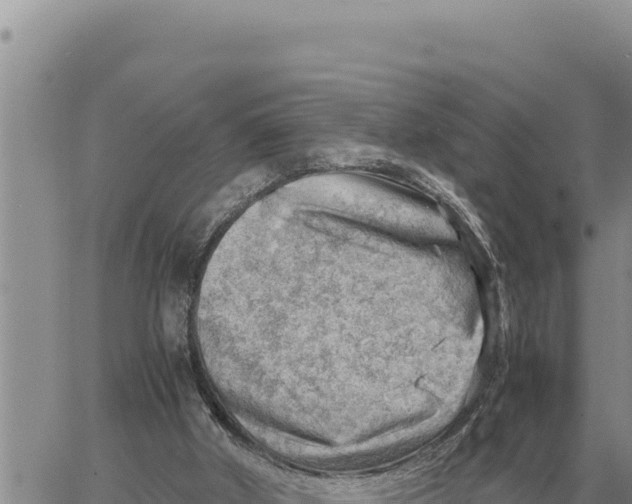 X0000061110010200512091829