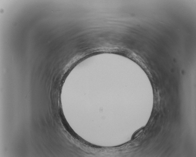 X0000061110011200512091829