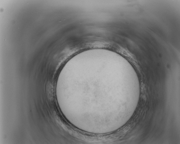 X0000061110012200512091829