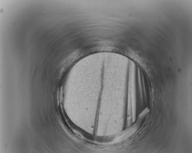 X0000061110013200512091829