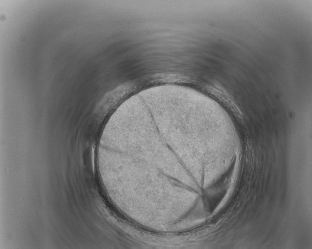 X0000061110014200512091829