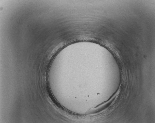 X0000061110015200512091829