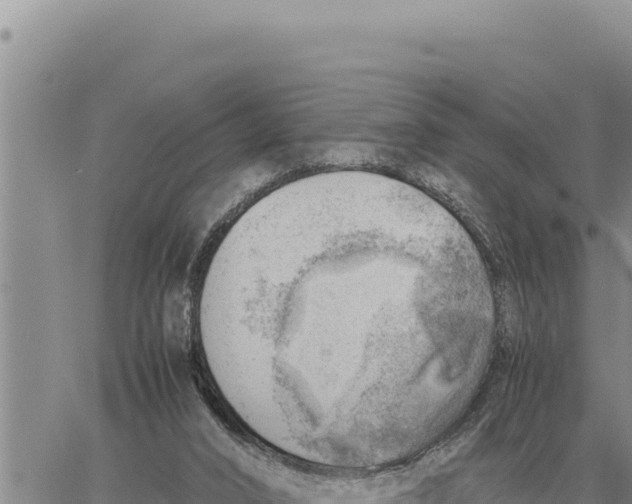 X0000061110016200512091829