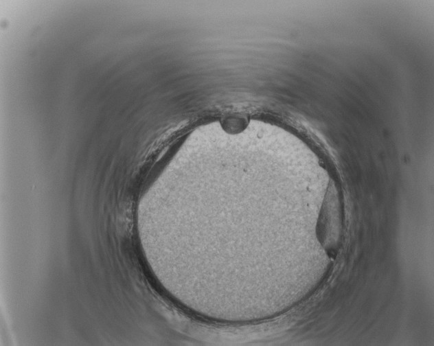 X0000061110017200512091829