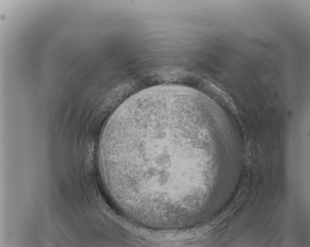 X0000061110018200512091829